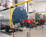 燃油（氣）蒸汽導熱油爐